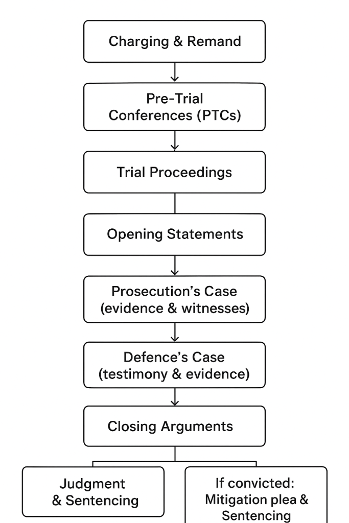 The Court Process: From Charge to Judgment for drug trafficking